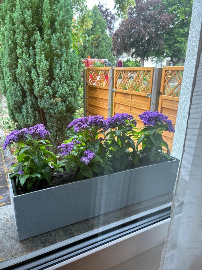 Fewo By Hd Mit Parkplatz, Wallbox, Wintergarten 巴特萨尔茨乌夫伦 外观 照片